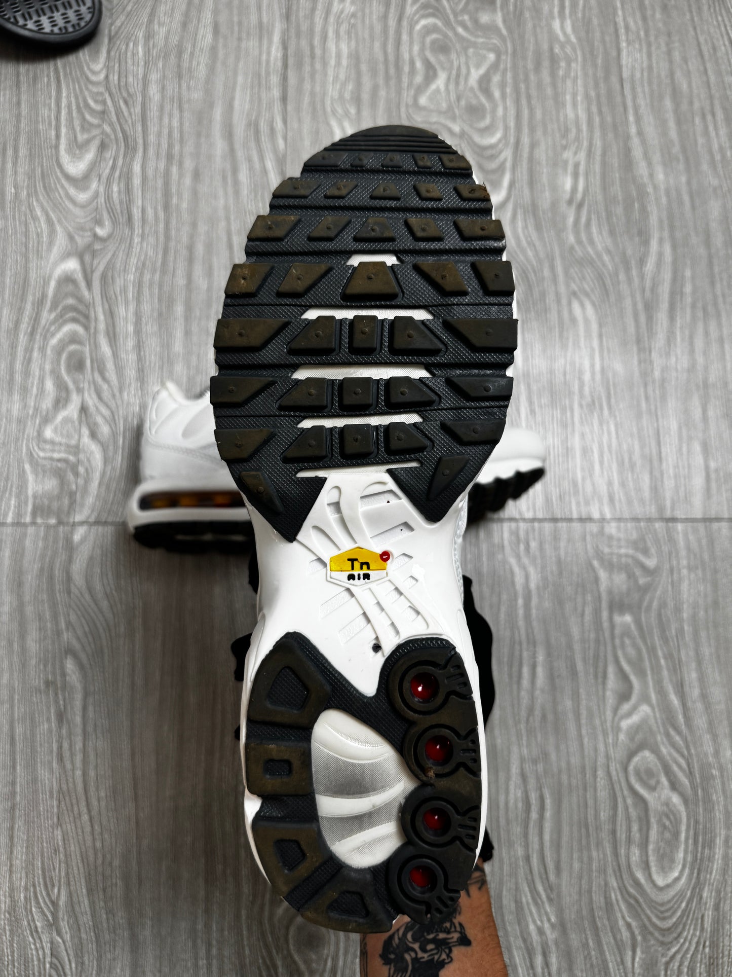 Tênis Nike TN Air Max